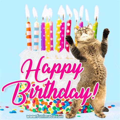 birthday gifs|Birthday GIFs